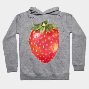 colorful strawberry oil painting Hoodie